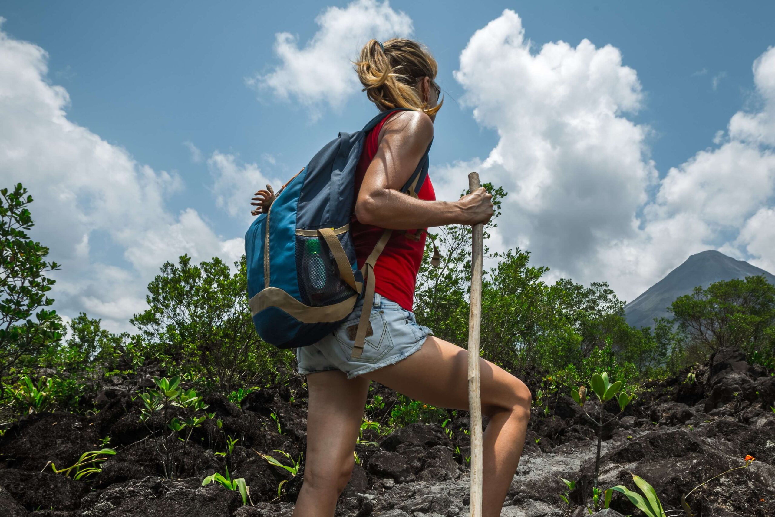 Tour Companies That Let You See The Most In Costa Rica Five Star Property